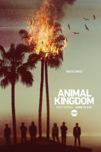 مسلسل Animal Kingdom مترجم الموسم الاول